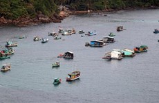 坚江省加强渔业基础设施建设