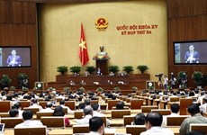 越南第十五届国会第三次会议：国会就银行和交通运输领域开展专题质询活动