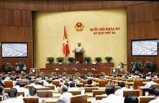 越南第十五届国会第三次会议新闻公报（第十七号）
