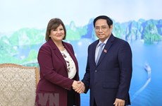 越南政府总理范明政会见埃及驻越南大使和蒙古国驻越南大使