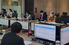 越南出席东盟一体化倡议工作组会议