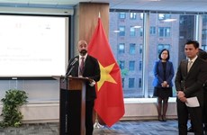 越南希望《联合国海洋法公约》之友小组为应对新兴挑战的努力做出更多贡献