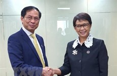 越南同意促进与印度尼西亚和文莱的合作