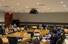 越南主持联合国大会关于预防和应对疫情的决议（草案）磋商会