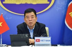 越南向东盟与印度特别外交部长会议传递和平与合作信息