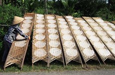 ​ 醉鸾村--岘港市一个传承博饼皮传统手工制作业的村庄 