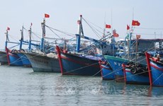 解除欧盟“黄牌”警告：支持企业打击非法捕捞