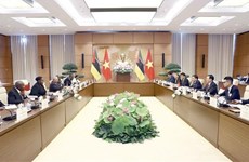 越南国会主席王廷惠与莫桑比克议会议长举行会谈