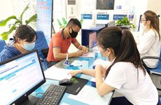 宁平省推动数字化转型和电子政务发展