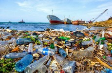 越南减少塑料创新对接中心助力解决塑料垃圾污染问题