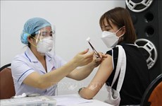 26日越南报告新增确诊病例557例 新增治愈病例7300例