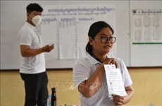 柬埔寨公布2022年乡分区理事会选举结果
