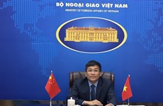 越中双边合作指导委员会双方秘书长举行视频会晤