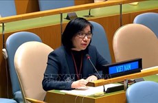 越南承诺根据联合国行动计划管理小武器和轻武器