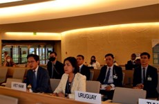 越南在联合国人权理事会上承诺促进性别平等