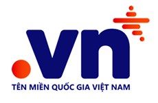 越南互联网中心更改国家域名“.vn”