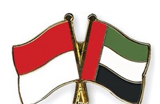 印尼促进与阿联酋的合作关系