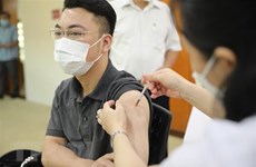 7月8日越南新增新冠肺炎确诊病例数小幅下降