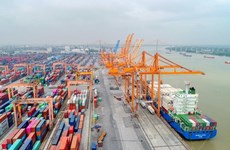 投资总额近9万亿越盾的平定芙美港口的建设是符合越南港口系统发展规划