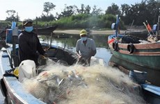 越南工贸部提议向渔民提供油价补助金