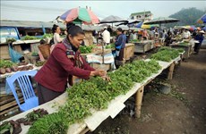 老挝上调最低工资标准 帮助劳动者应对通货膨胀