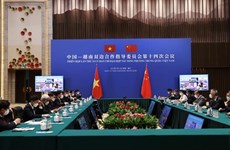 越中双边合作指导委员会第十四次会议在广西举行