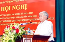 越南祖国阵线中央委员会主席杜文战在兴安省进行调研