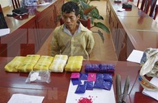 一老挝籍嫌疑人因非法贩运3万粒合成毒品被奠边省警方抓获