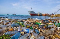 联合国开发计划署协助废物收集和处理 减少海洋污染