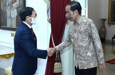 越南与印尼想方设法推动双边合作关系