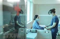 越南卫生部：目前仍没有发现高毒力的甲型流感病毒