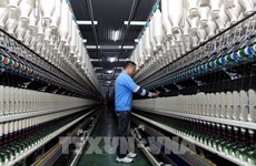 越南纤维产品优势巨大  出口额同比增长20%以上