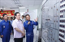 越南国会主席王廷惠莅临平山炼油厂股份公司视察 