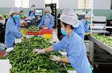 越南农产品适应于新冠疫情严格防控情况