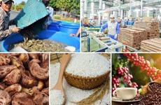 越南9个农产品出口额超10亿美元