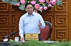 越南政府总理范明政在美国和一些国家调整利率后主持召开经济会议