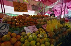 促进越南水果对中国正贸出口的机会