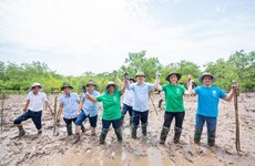 联合国开发计划署继续支持越南建设防灾减灾安全屋