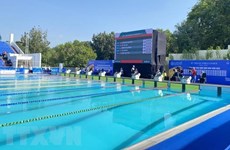 2022年东残会：越南在游泳赛项夺得五枚金牌
