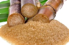 越南工贸部对来自柬埔寨、印尼、老挝、马来西亚、缅甸等国的食糖产品采取反规避措施