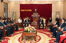 越老关系60周年：促进岘港与老挝中南部5省之间的合作关系