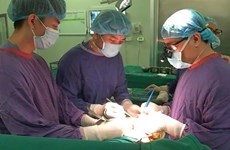 越南医生已累计进行6500多例器官移植手术