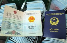 越南将在新版普通护照添加“出生地”信息