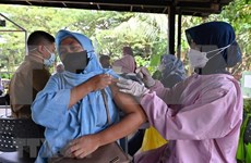 印度尼西亚宣布暂停疫情抗击基金