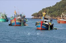 坚江和金瓯两省合作打击“非法、不报告和不管制捕鱼”（IUU）