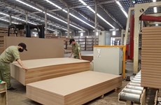 广治省力争成为中部木材加工和原料供应中心