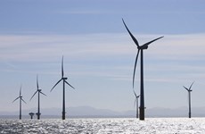 PTSC M&C 和 Semco Maritime成为海龙风电项目EPC 总承包商