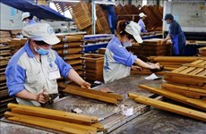 2022年前7个月越南的木材和木制品远销世界110个国家和地区