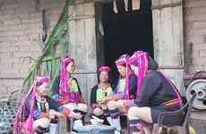 广宁省青衣瑶族妇女传统服装之美