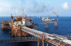 越南国家石油集团关于建设炼油和石化综合体的建议有助于确保能源的安全